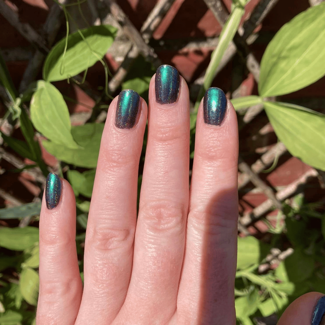 Universe - Holographic
